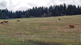 Pozemok v Liptovskom Mikuláši časť Okoličné na predaj ID: 05 - 4