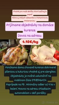 Domáce kuriatka - 4