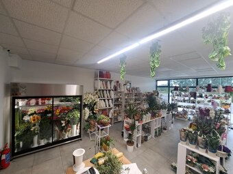 Chladiaca panoramatická vitrína na kvety RAPA - 4