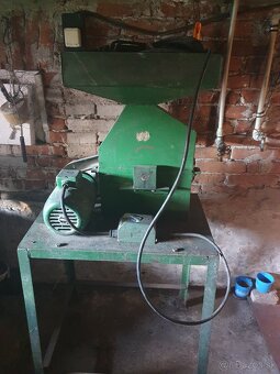 Kladivkovy srotovnik - 4