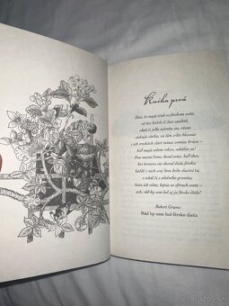 Úplne nová kniha Krutý princ – Holly Black (Férska sága 1) - 4