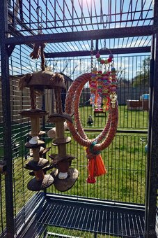 Klietka + zrno a doplnky stravy - 4