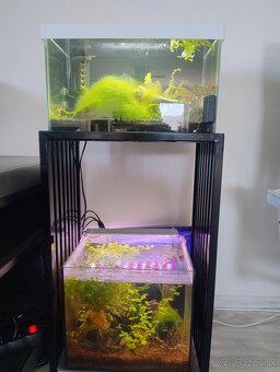 Predám akvárium - 4