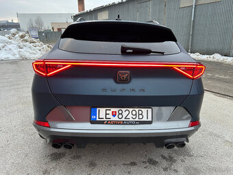 Cupra Formentor 2.0 TSi 228kw DSG 310 - 4