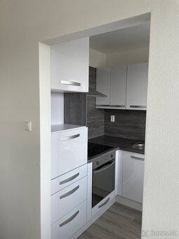 Prenajom 1 izbovy byt - 4