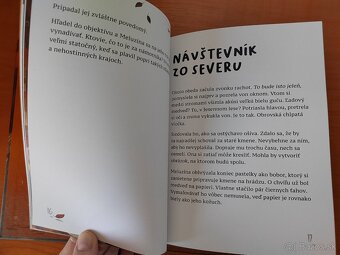 Jeseň v lese - Lukáš Cabala - NOVÁ - 4