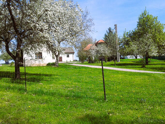 PRE NÁROČNÝCH - Výnimočné rodinné sídlo - rodinná farma - 4