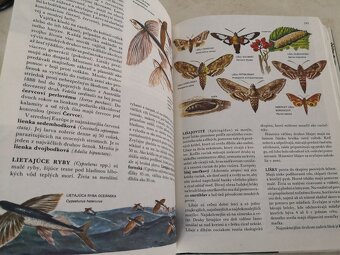 Svet živočíšnej ríše - 4