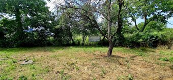 Predaj: Záhrada v Novom Meste nad Váhom - 4