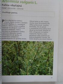 Bylinky pre ženy - sj - Heide Fischer - 4
