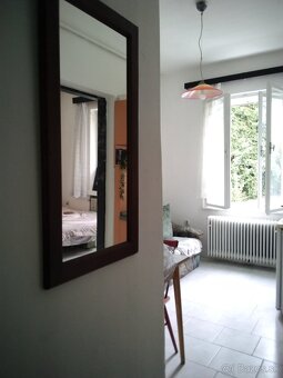 1 izb.byt s terasou pri Auparku a garaz - 4