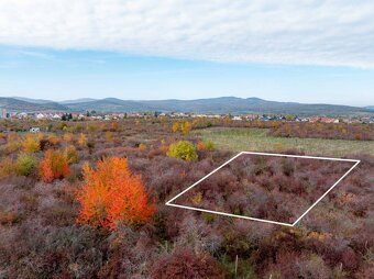 TOREA - BUDÚCI STAVEBNÝ POZEMOK NA PREDAJ - PEZINOK, MUŠKÁT - 4