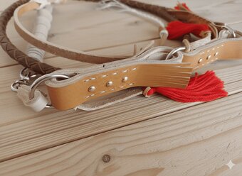 Pastiersky bič svetlý 250cm - 4