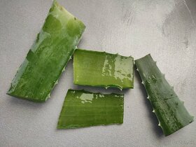 Aloe Vera mydlo - 4