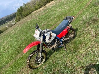 Honda dominator 650 - 4