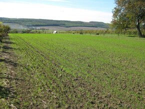 Rekreačný pozemok na chatu o výmere 3200m2.-lacno - 4
