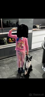 Boston,Bostonský teriér,Boston Terrier s PP - 4