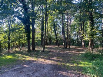 Pozemok Stupava, 2163 m2, VIS - 4