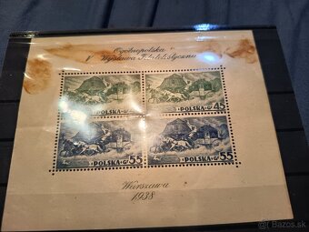 Predám arsiky Poľsko - 4