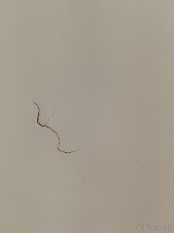 Darujem postel za ODVOZ - 4