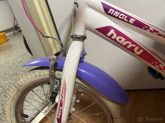 Decky bicykel Harry - 4