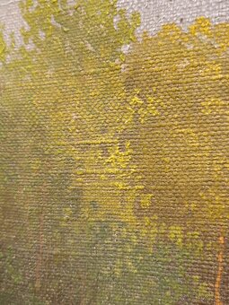 Obraz Augustin Josef Ekart, olej 54x69 - 4