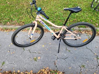 Dámsky bicykel Dema - 4