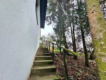 Viničný dom s vinicou Staré Predné Levice - 4