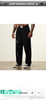 Vanquish Fitness Nohavice veľkosť L - 4