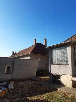 Pílenie a orez stromov - 4