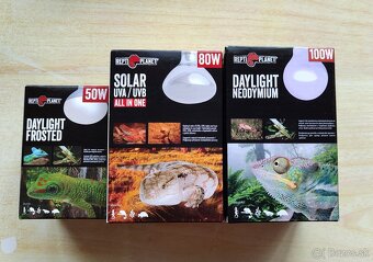 NOVÉ žiarovky do terária - 4