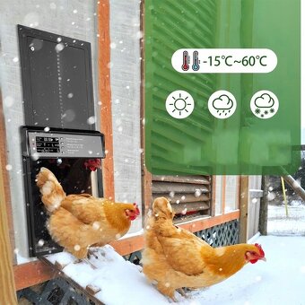 Nové automatické dvierka na kurín, pre sliepky - 4