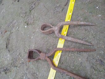 Tlcik motyka podkova - 4