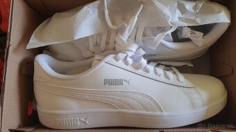 PREDAM NOVE TEMISKY PUMA - 4