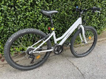 CTM Mony 24" - 4