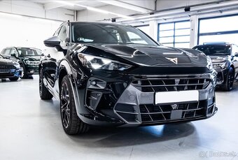 Cupra Terramar - 4
