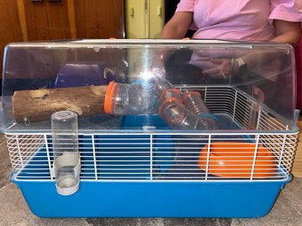 Krásna zachovalá klietka, pre domáceho miláčika - 4