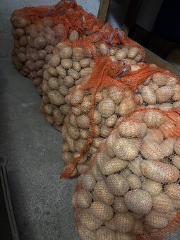 Predám zemiaky - 4