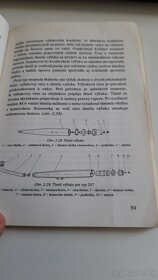 Kniha Babetta, E. Ďurkovič - 4