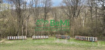 Na predaj lukratívny pozemok na chov rýb - Horná Ves ID 191- - 4