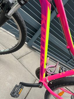 Ruzovo zlty bicykel - 4