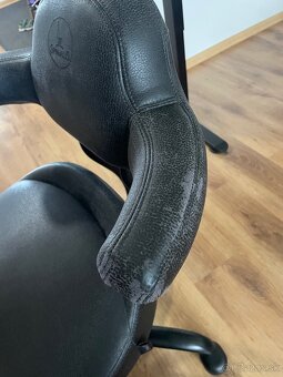 Spinalis rodeo - 4