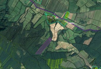 Polina – 2.384 m2 LESY a ORNÁ PÔDA– Na Predaj - 4