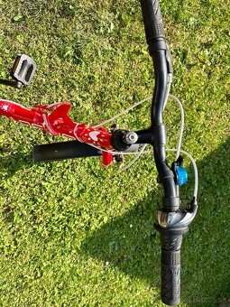 Bicykel Dema Aggy 20 - 4