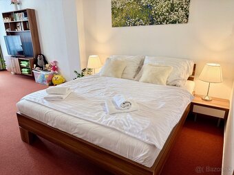 Atraktívny apartmán s terasou parkovaním a wellness - 4