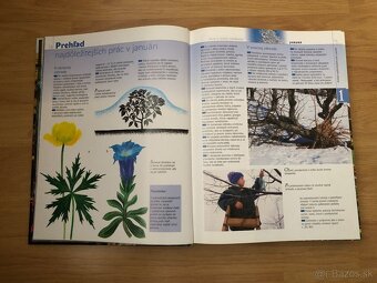 Rok v našej záhrade - 4