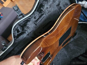 custom handmade gitara od Werne vyrobcu - 4