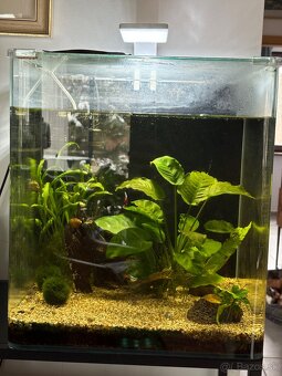 Akvárium Denerle NanoCube Complete 60L - 4