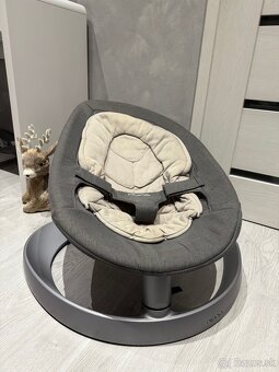 Lehatko NUNA Leaf Curve - 4