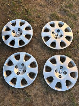 Predam puklice Ford a Peguet - 4